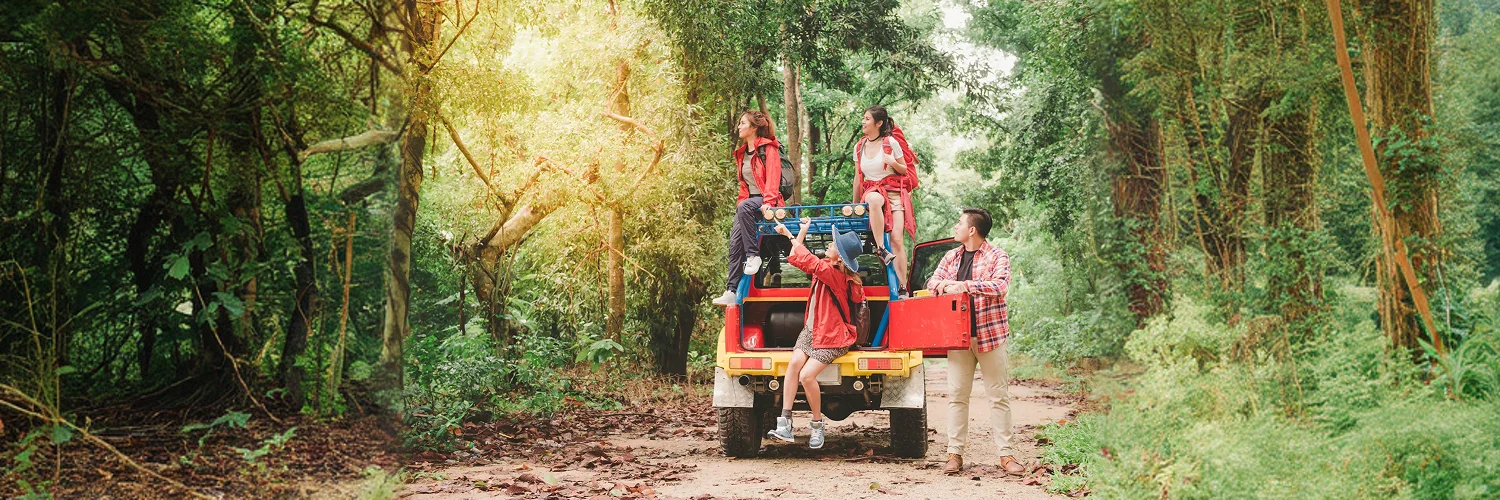 package hotel listing